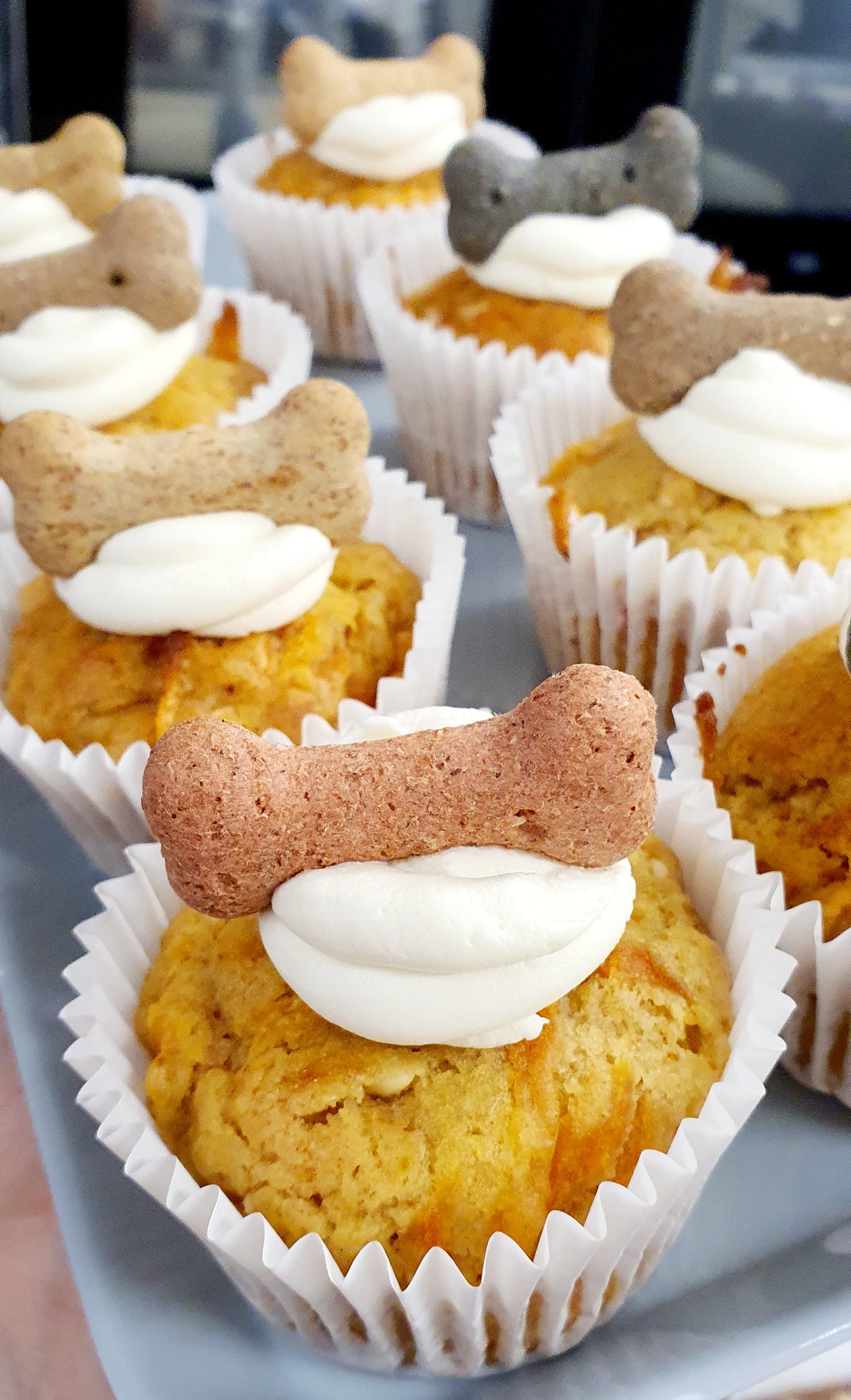 Pupcakes