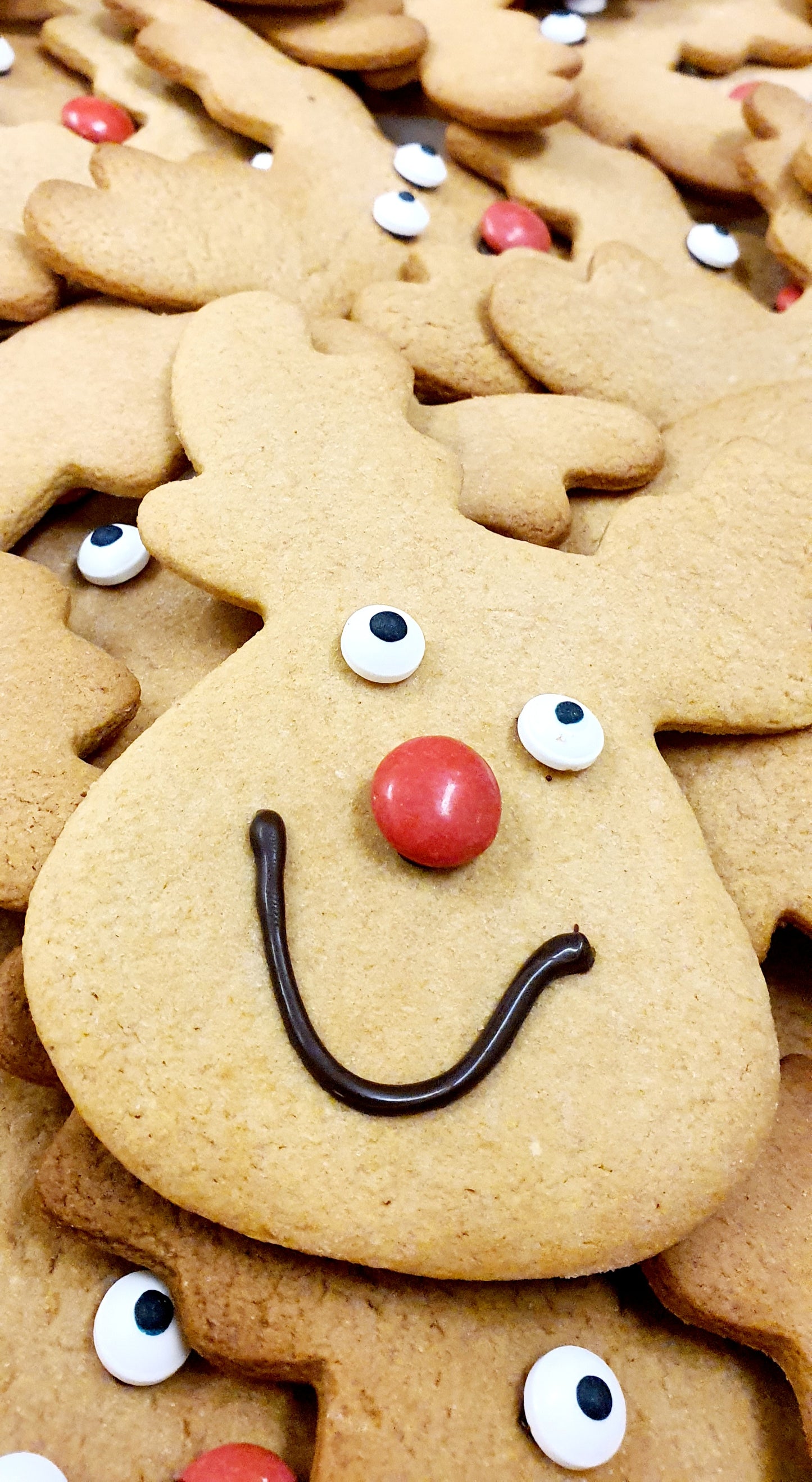 Gingerbread Reindeer - Xmas Week Pre Order Only