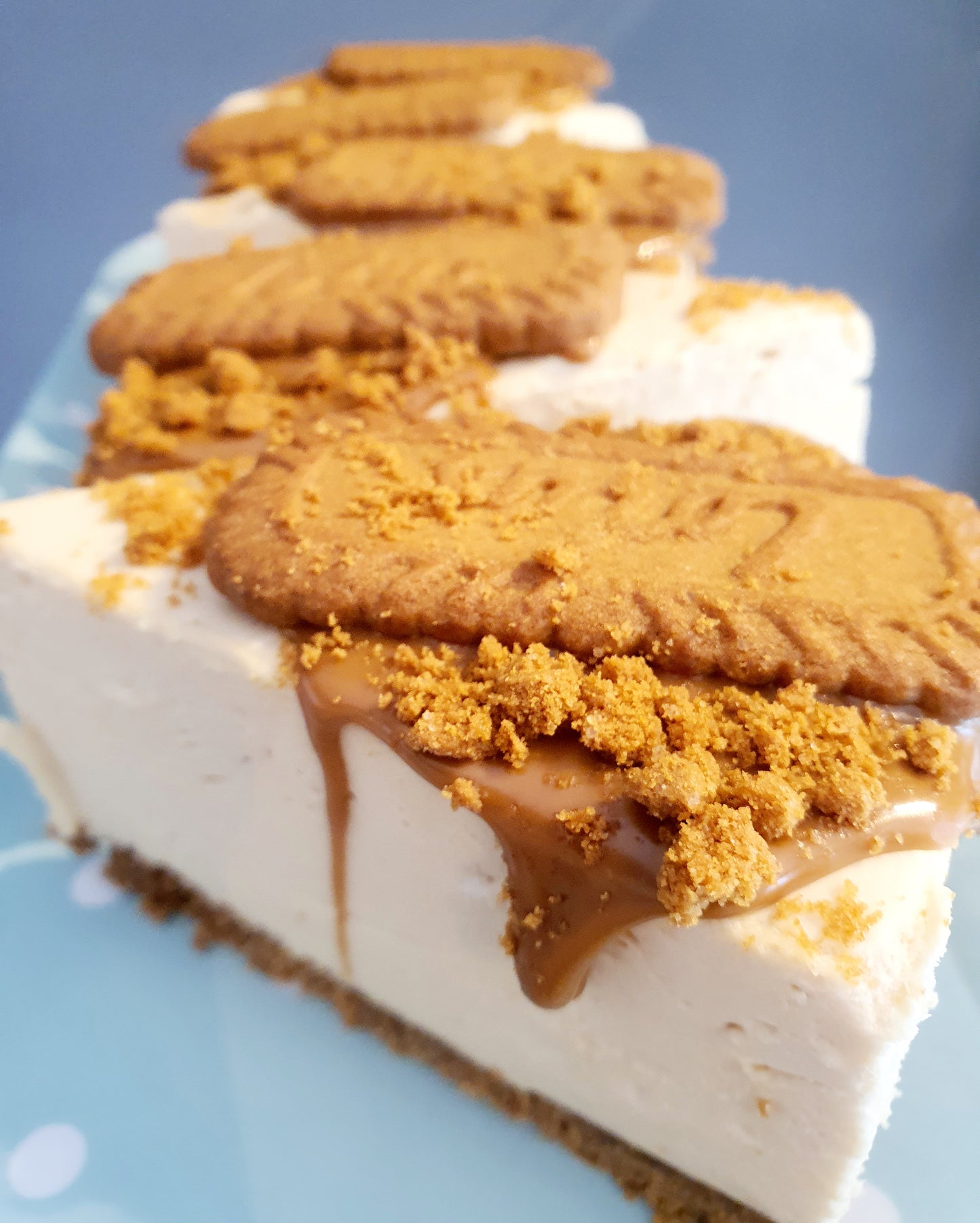 Biscoff Cheesecake - SLICE - XMAS WEEK PRE ORDER ONLY