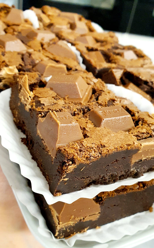 Yorkie Brownie MIX N MATCH 2